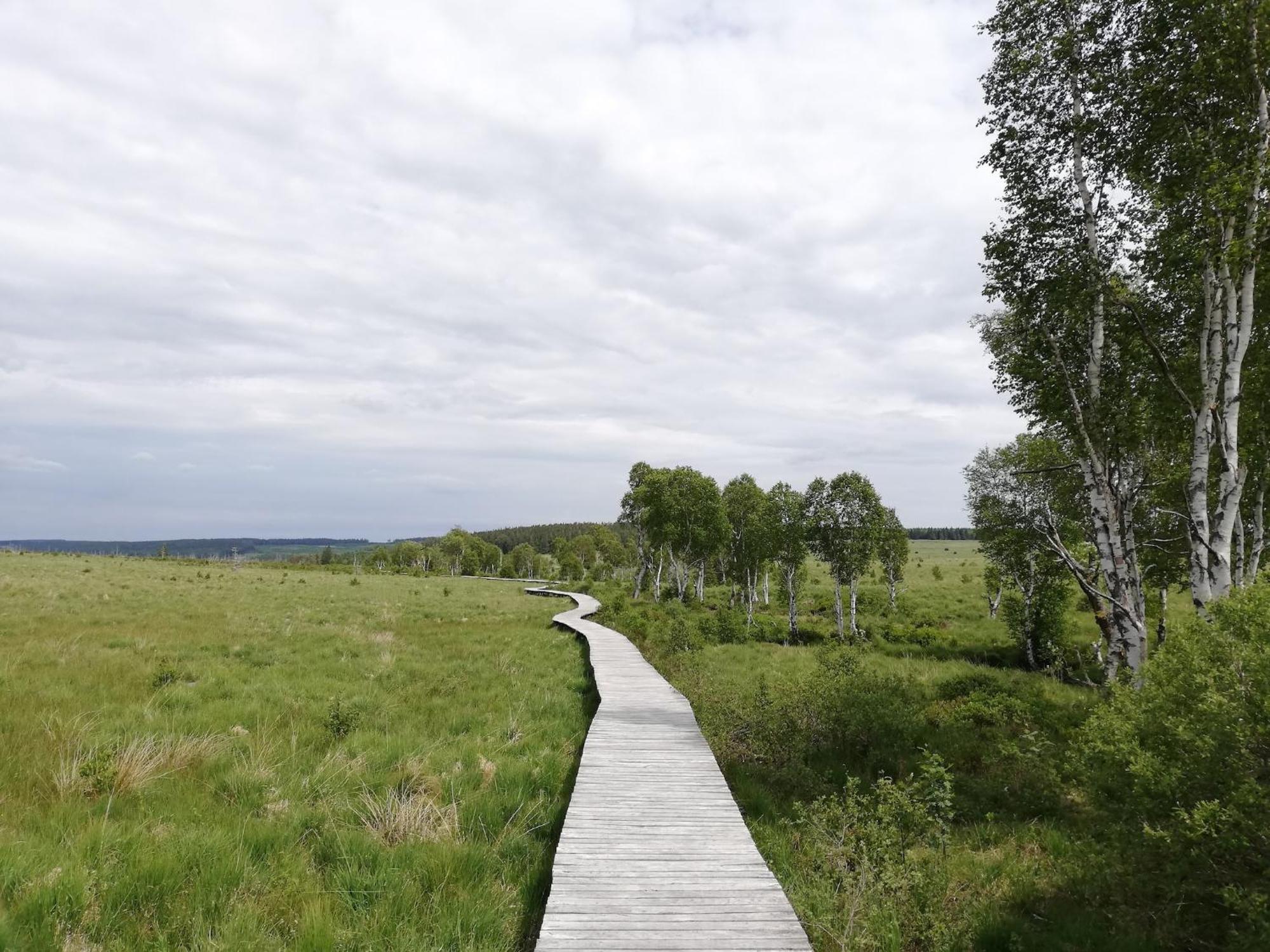 Picture Perfect Holiday Home In Sourbrodt With Garden Bbq Extérieur photo